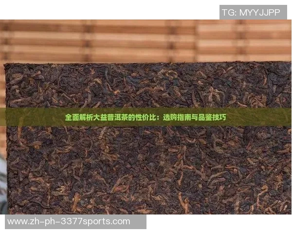 选择适合足球场的草种提升场地质量与运动表现的全面指南